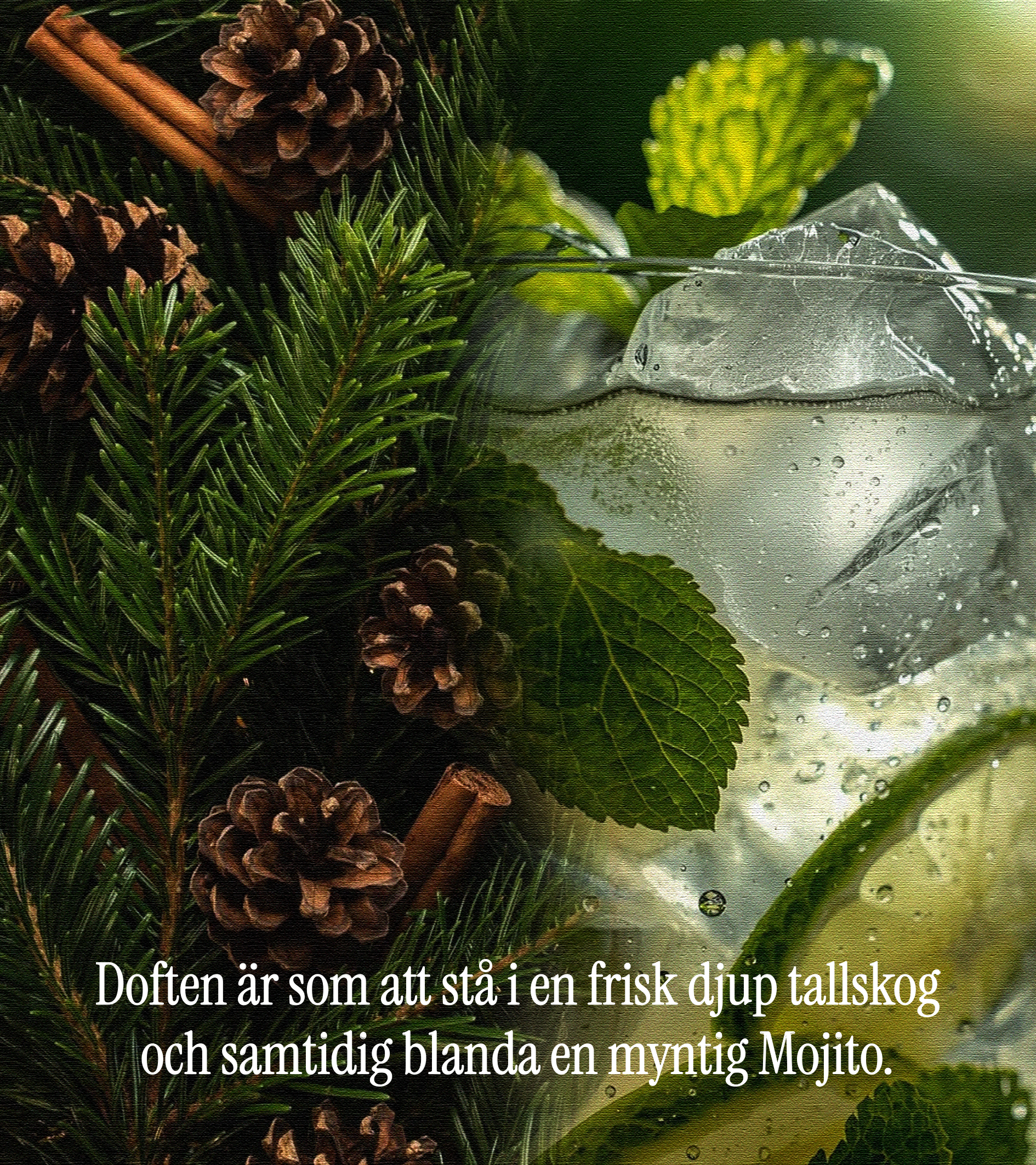 Prova Klark (Tallskog + Mojito tvålbar)