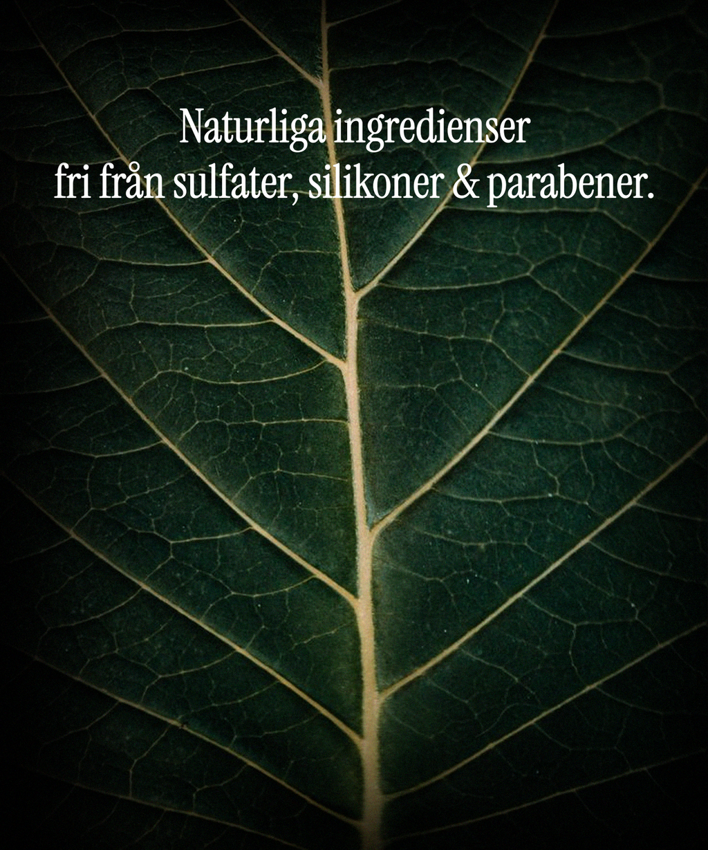 Prova Klark (Tallskog + Mojito tvålbar)